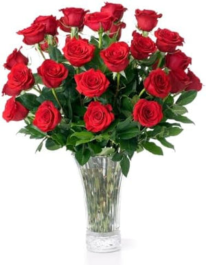 Aquarossa Fresh Cut Roses — 24 Red Stems