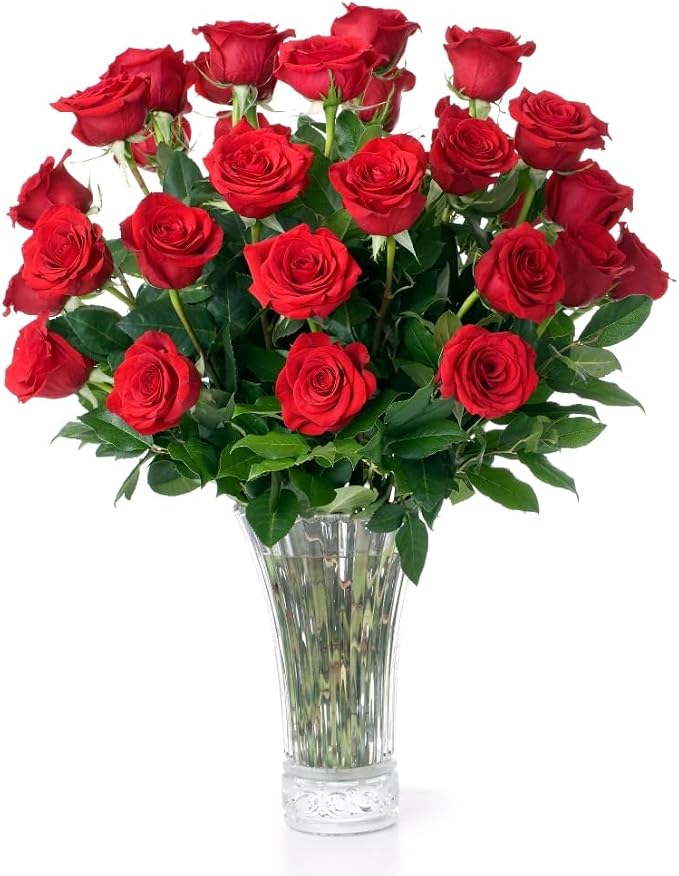 Aquarossa Fresh Cut Roses — 24 Red Stems