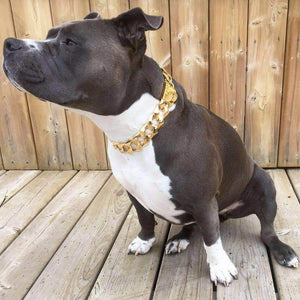 THE R.I.C.O. Luxury Gold Cuban Link Dog Collar