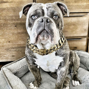 THE R.I.C.O. Luxury Gold Cuban Link Dog Collar